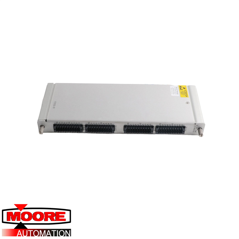 BENTLY NEVADA | 172103-01 |  RTD/Isolated Tip TC I/O Module