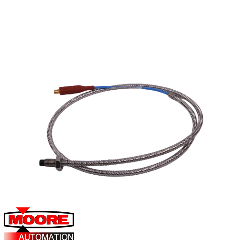 BENTLY NEVADA | TM0180-A08-B00-C02-D10 | Current Proximity Probe
