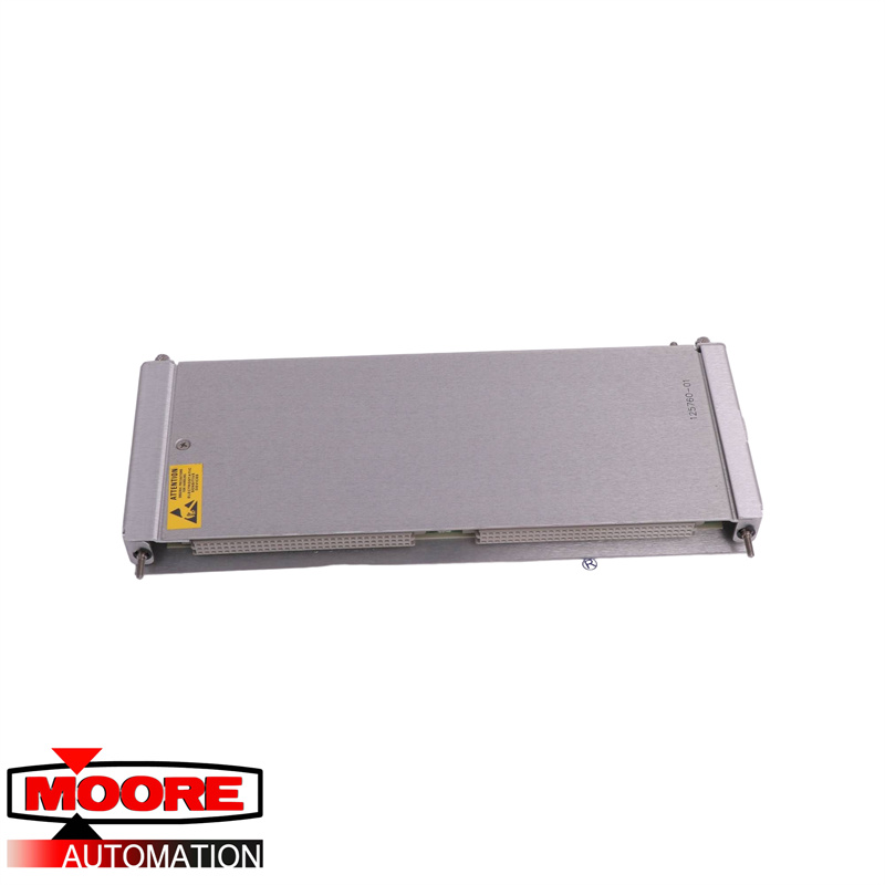 Bently Nevada | 125760-01 |  Data Manager I/O Module