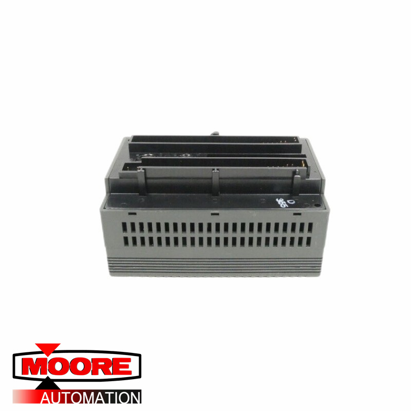 GE  IC200ALG620  Analog Input RTD Module