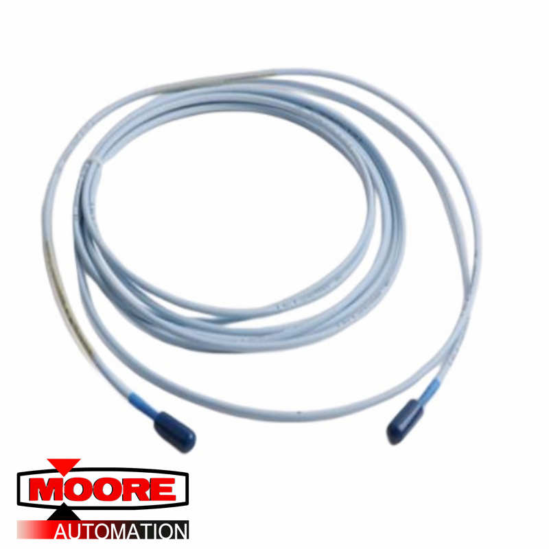 BENTLY NEVADA 330106-XX-XX-10-02-00 MOD:145628-01 Proximity Probe