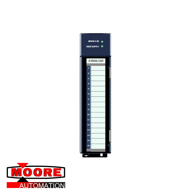 GE IC694ALG223 Input module