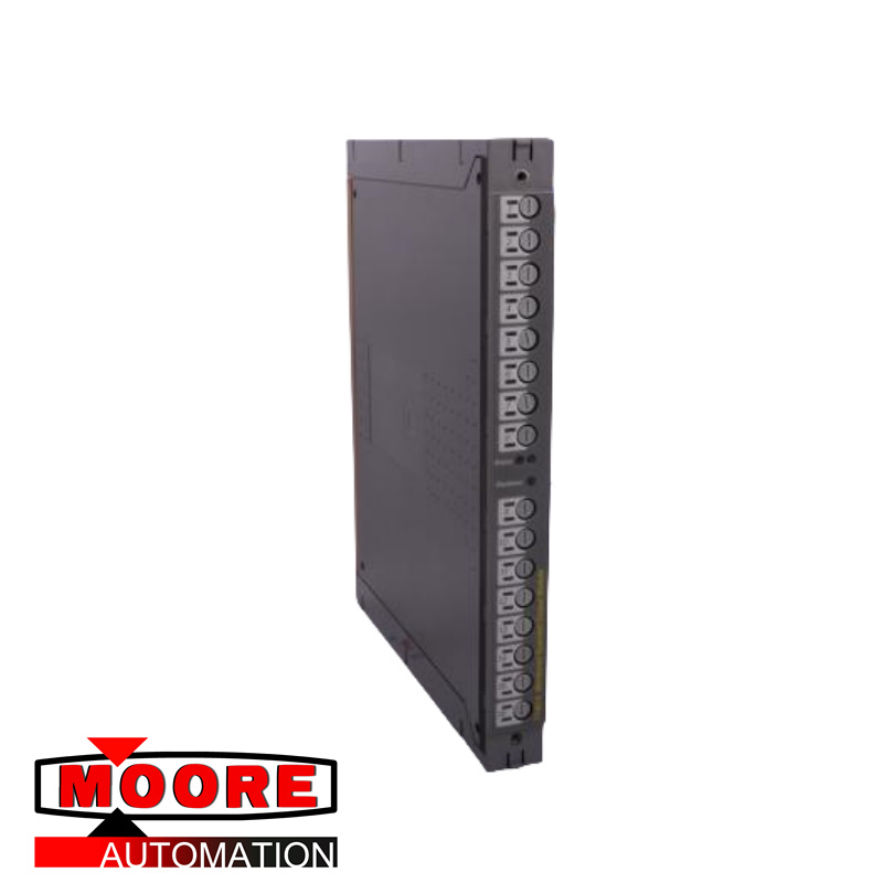 ICS TRIPLEX T8231C  Power Pack