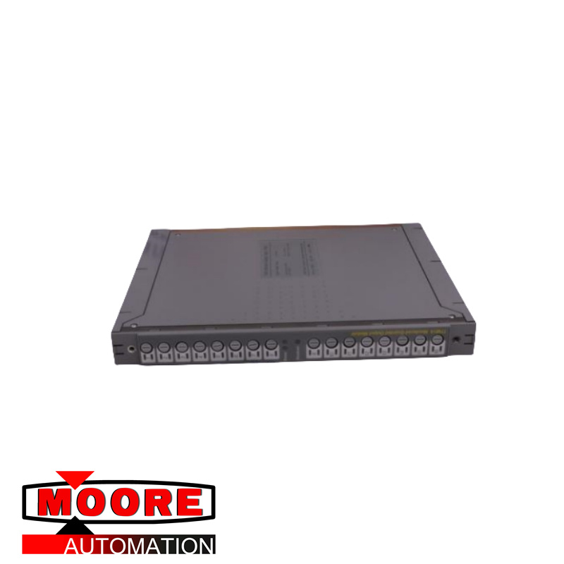 ICS TRIPLEX T8231C  Power Pack