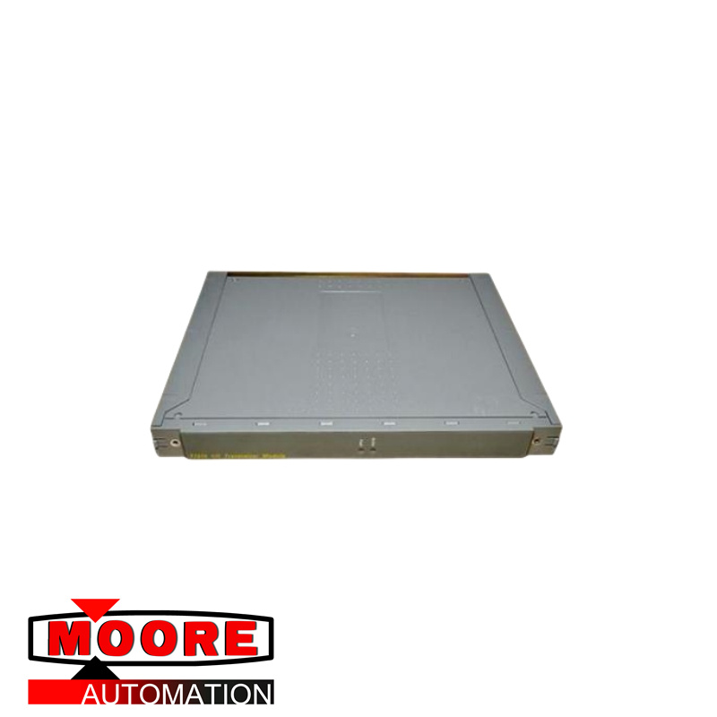 ICS TRIPLEX T9191	Module