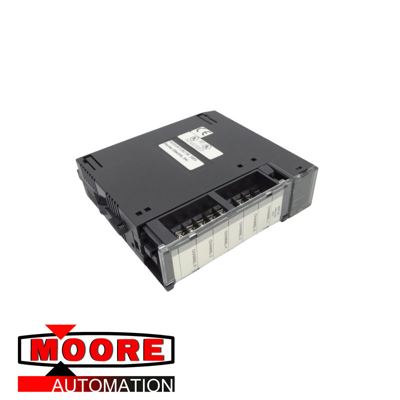 HORNER AUTOMATION HE693RTD601R INPUT MODULE
