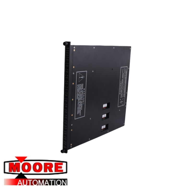 Triconex 3624 Digital Output Modules