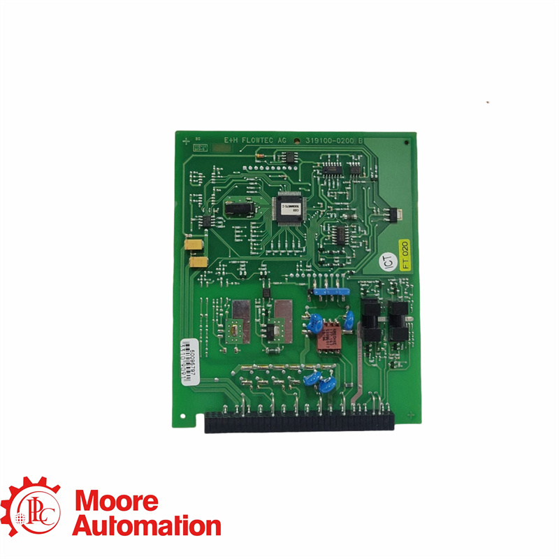 E+H 319100-0200B PC Board